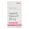 Lapatinib cost in India - Image 3